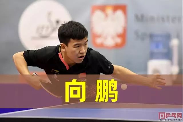 引援得到强 引援得到强